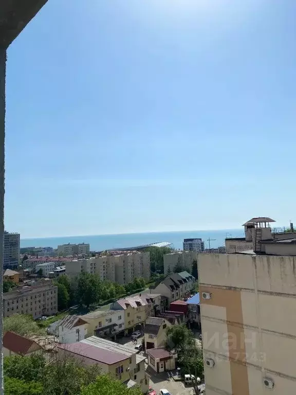 Студия Краснодарский край, Сочи Адлер жилрайон, ул. Троицкая, 31/2 ... - Фото 0