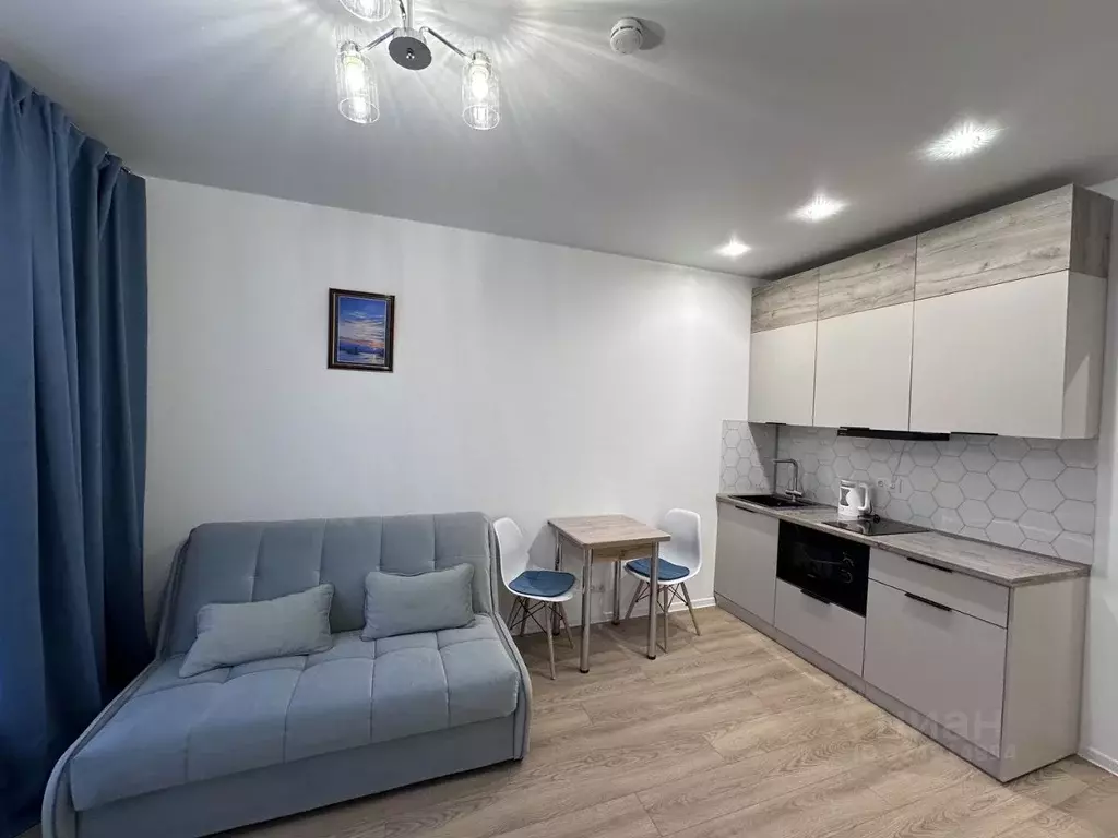 Студия Московская область, Красногорск городской округ, пос. ... - Фото 2