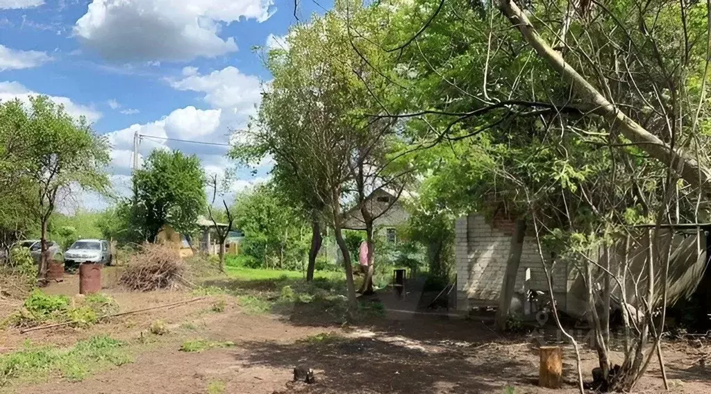 Участок в Белгородская область, Белгород Котельщик садовое ... - Фото 1