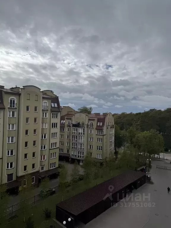 1-к кв. Калининградская область, Зеленоградск Московская ул., 72 (40.0 ... - Фото 0