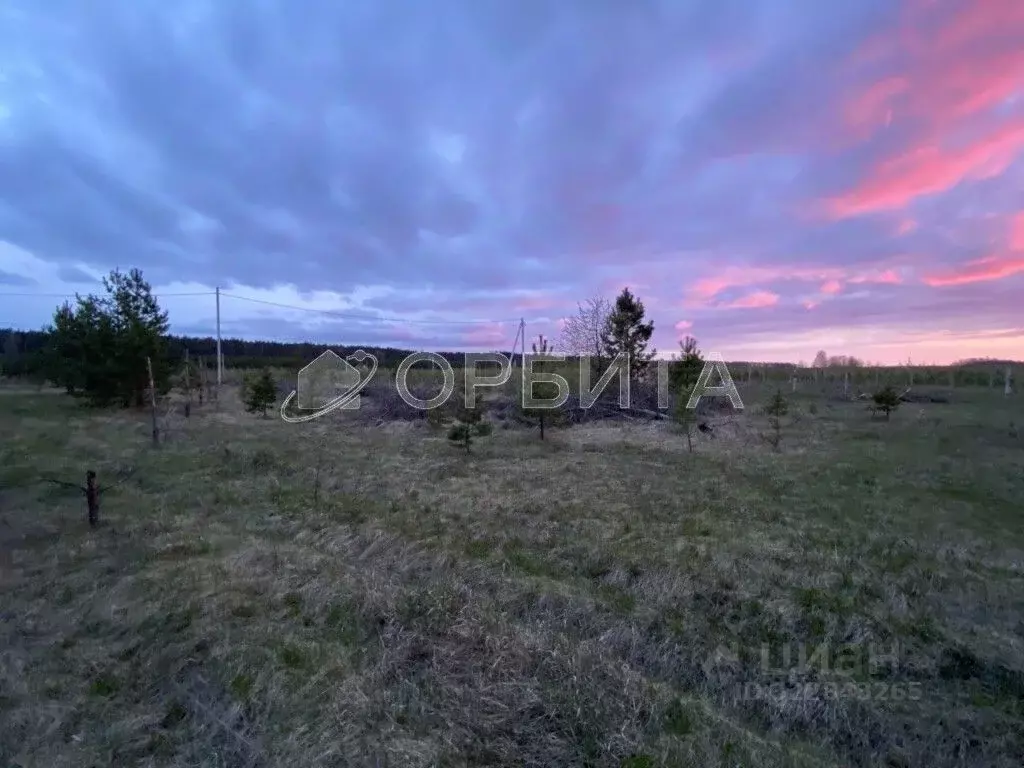 Участок в Свердловская область, Тугулым пгт  (16.0 сот.) - Фото 1