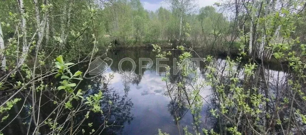 Участок в Тюменская область, Нижнетавдинский район, Фортуна СТ ул. ... - Фото 0