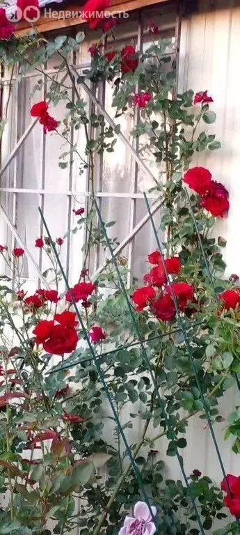 Дом в Дзержинское сельское поселение, СНТ Полёт (25 м) - Фото 1