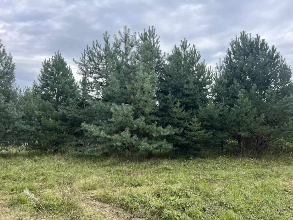 Участок в Нижегородская область, Городецкий муниципальный округ, д. ... - Фото 1