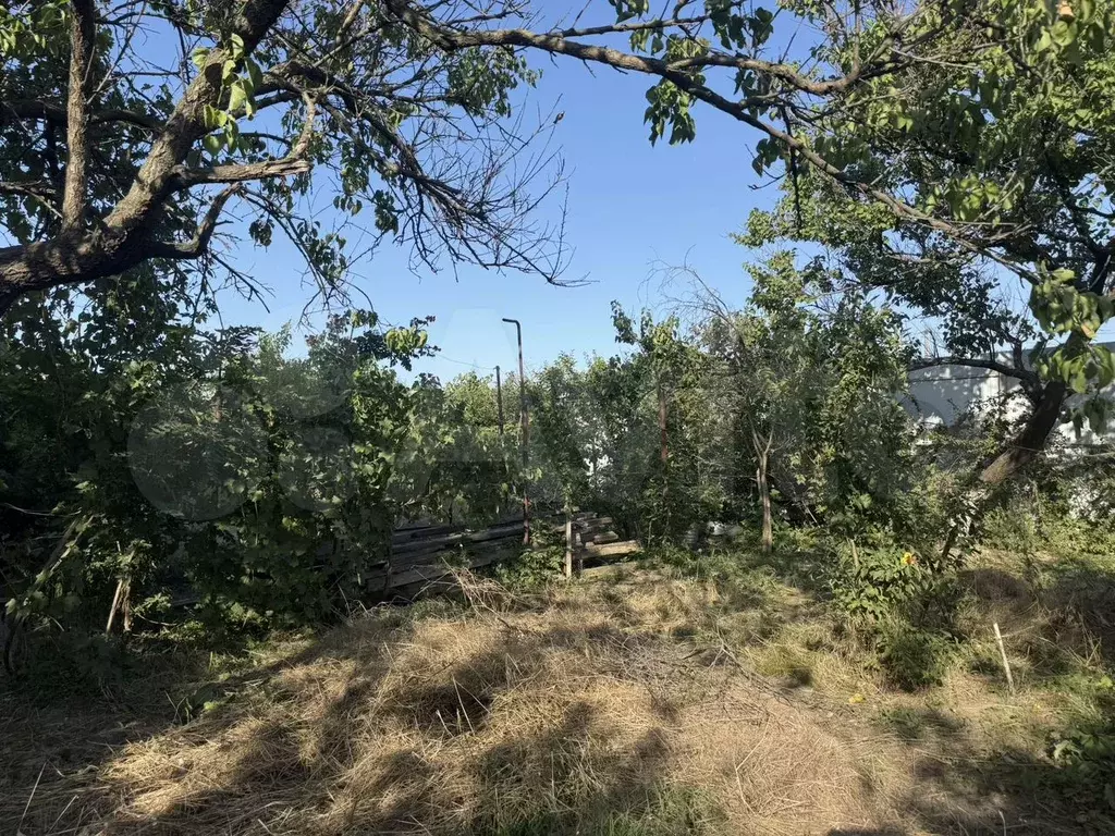 Участок 8,3 сот. (СНТ, ДНП) - Фото 1
