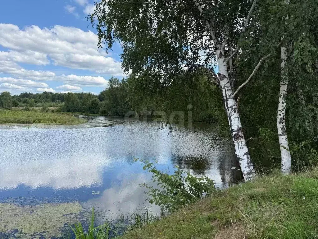 Участок в Костромская область, Красносельский муниципальный округ, ... - Фото 1