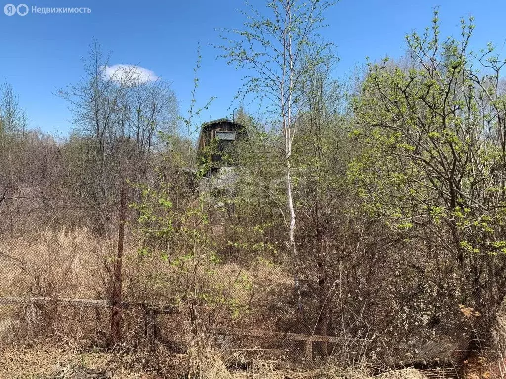 Участок в Комсомольский район, СНТ Амурские зори, 17-я улица (10 м) - Фото 0