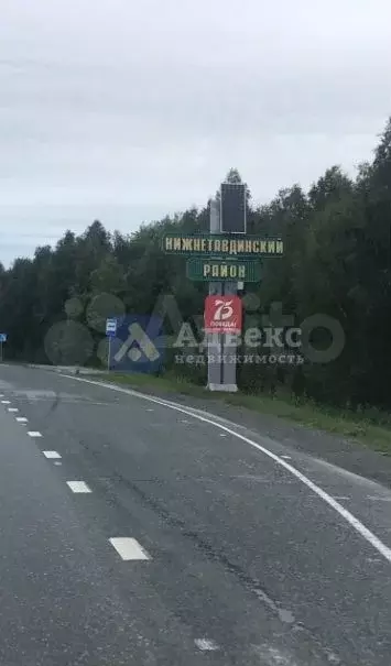 Участок 6 сот. (СНТ, ДНП) - Фото 0