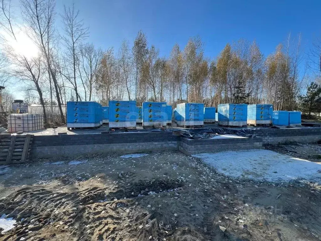 Участок в Алтайский край, Первомайский район, с. Санниково ул. ... - Фото 1