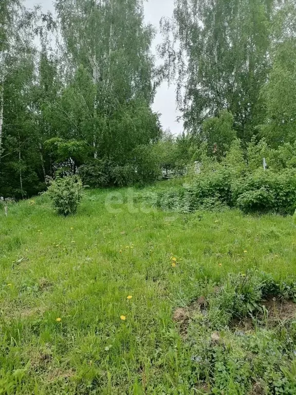 Участок в Калужская область, Калуга городской округ, д. Воровая  (8.0 ... - Фото 2