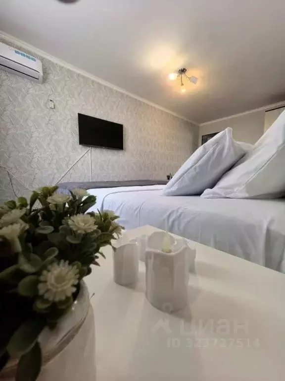 1-к кв. Самарская область, Волжский район, Смышляевка городское ... - Фото 2