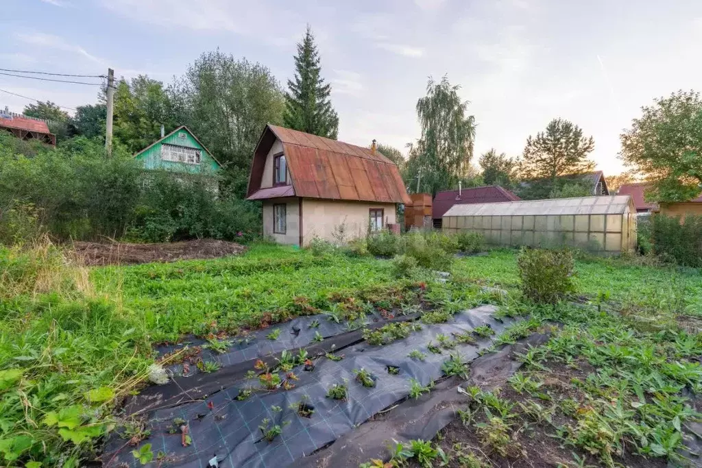 Дом в Пермский край, д. Большое Савино, Родничок СНТ 27 (40 м) - Фото 2