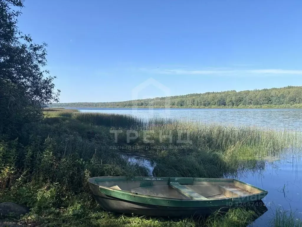 Участок в Ленинградская область, Лужский район, Заклинское с/пос, д. ... - Фото 1