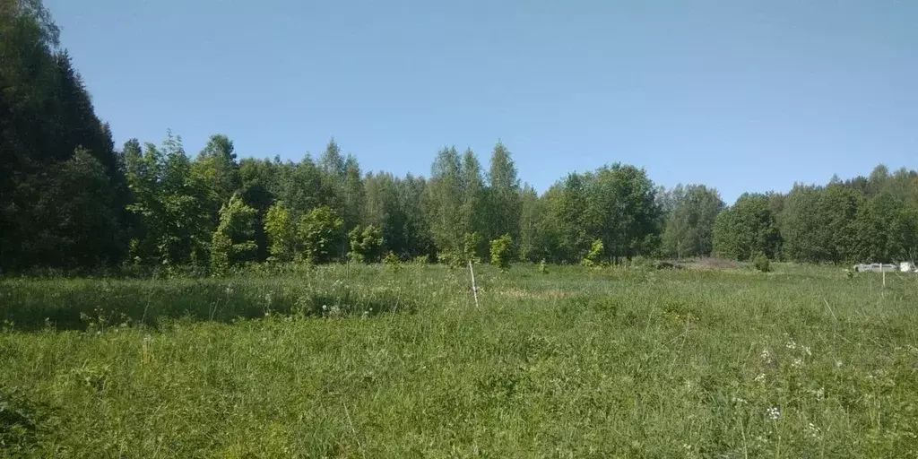 Участок в Новгородская область, Валдайский район, Рощинское с/пос, д. ... - Фото 0