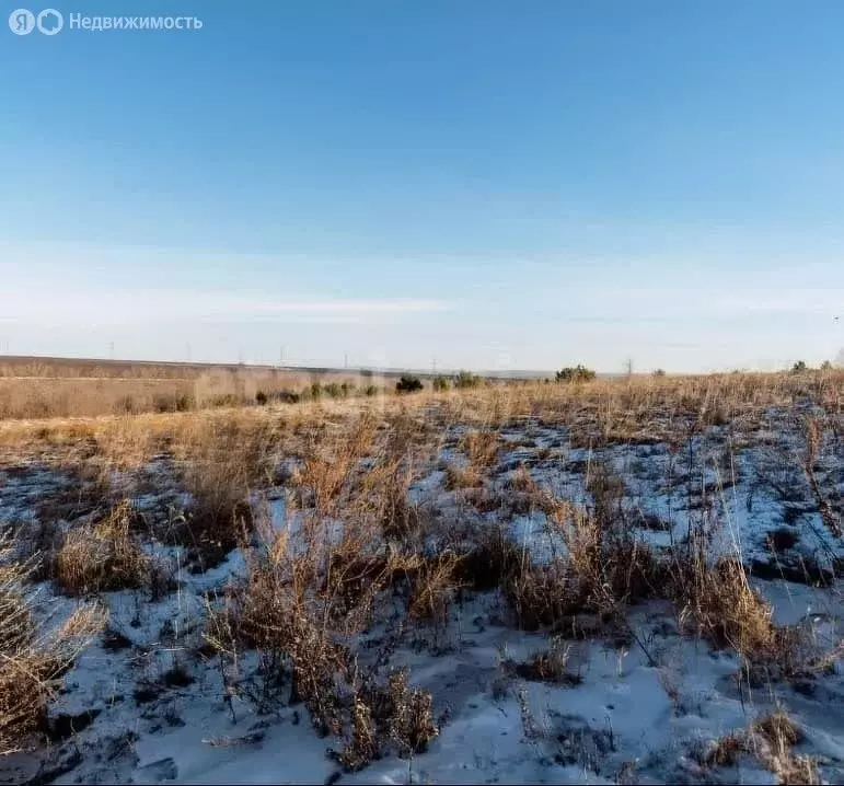 Участок в Алтайский край, Бийск (13.48 м) - Фото 2