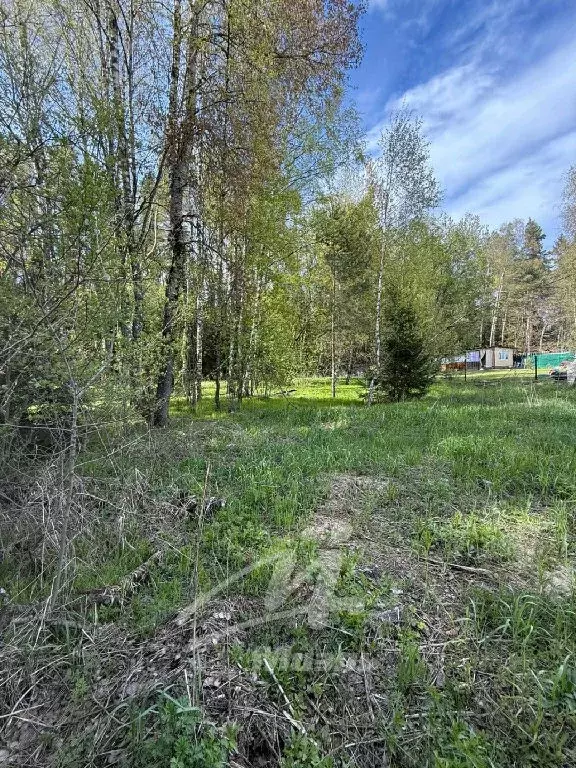 Продается участок в КП Лесные Дали - Фото 1