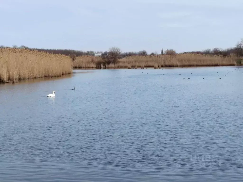 Дом в Краснодарский край, Гулькевичский район, Скобелевская ст-ца ... - Фото 1