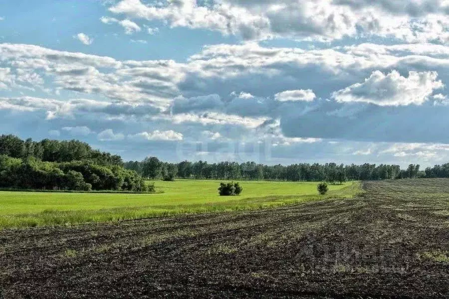 Участок в Татарстан, Высокогорский район, с. Большие Ковали  (9210.0 ... - Фото 1