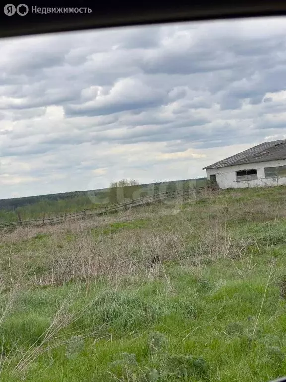 Участок в село Речица, Деснянская улица (10200 м) - Фото 0