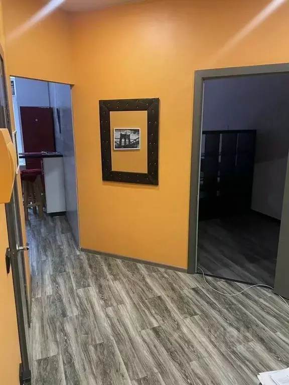 1-к кв. Калужская область, Боровский муниципальный округ, д. Кабицыно ... - Фото 1