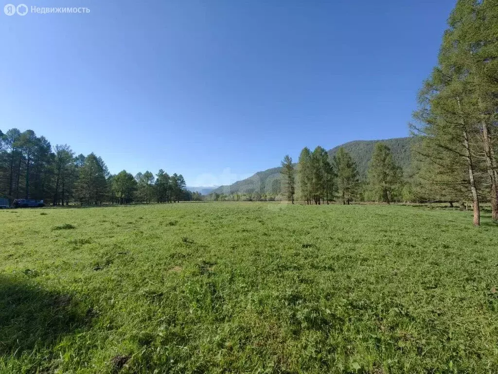 Участок в Республика Алтай, село Онгудай (9 м) - Фото 1