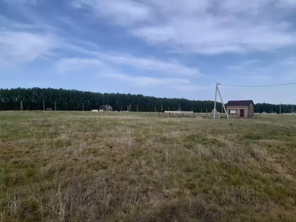 Участок в Омская область, Омский район, с. Усть-Заостровка, Удачный кп ... - Фото 0