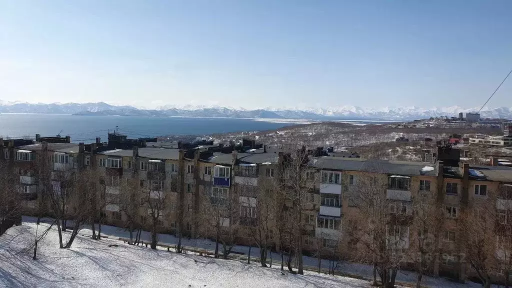 2-к кв. Камчатский край, Петропавловск-Камчатский ул. Бохняка, 25 ... - Фото 1