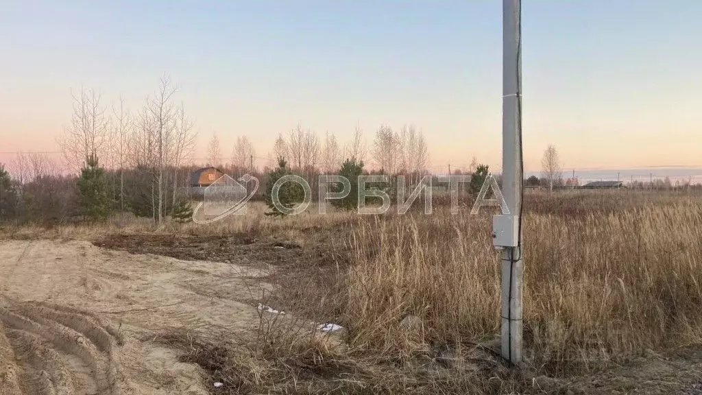 Участок в Тюменская область, Нижнетавдинский район, У Сосны ... - Фото 0