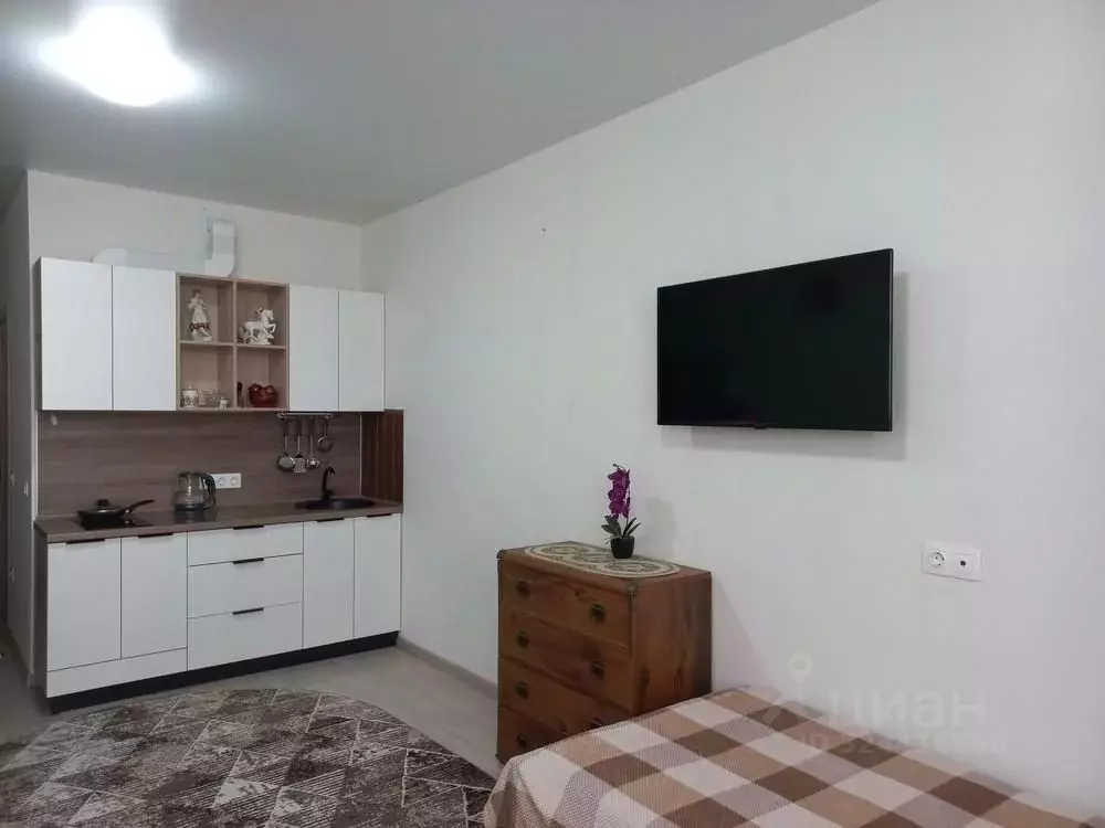 Студия Краснодарский край, Анапа ш. Супсехское, 39к16 (28.0 м) - Фото 1