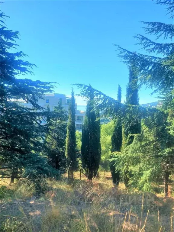 Участок в Крым, Ялта ул. Войкова, 26 (9.0 сот.) - Фото 1