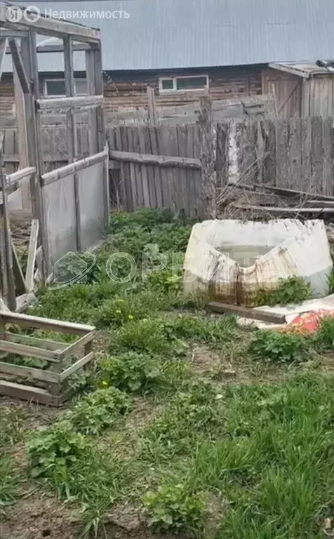 Участок в Тюменская область, Голышмановский муниципальный округ, село ... - Фото 1