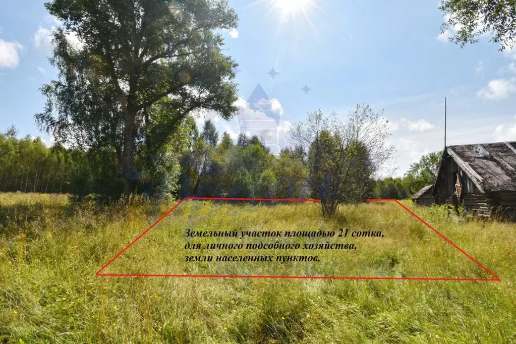 Участок в Нижегородская область, Бор городской округ, д. Волчиха  ... - Фото 1