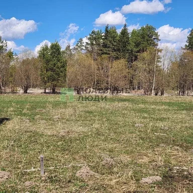 Участок в Пермский край, Соликамский муниципальный округ, с. Городище ... - Фото 1
