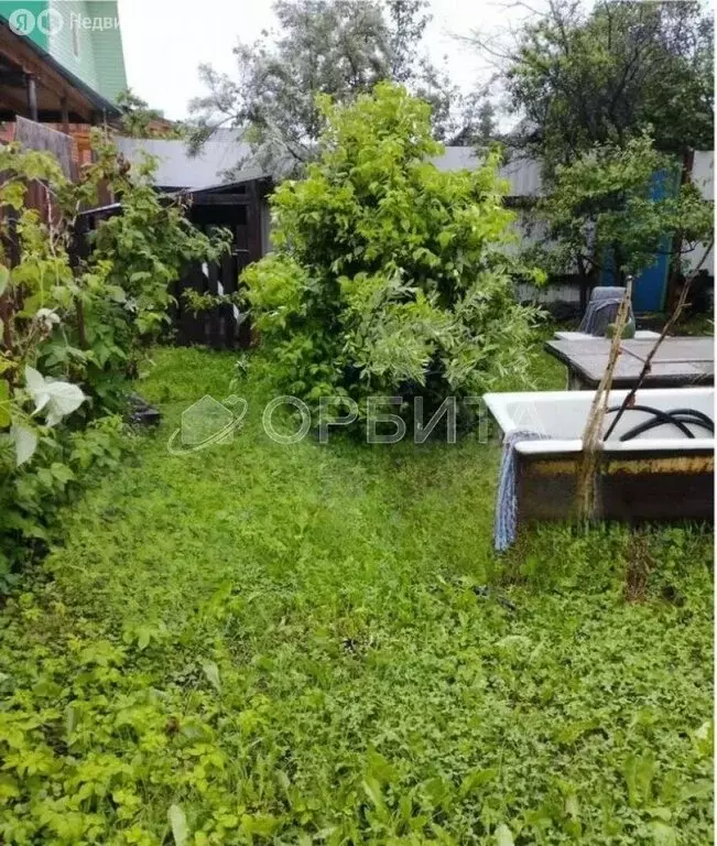 Дом в Тюменский район, СНТ Мичуринец-2 (50 м) - Фото 1