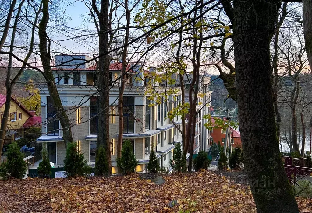 2-к кв. Калининградская область, Светлогорск Подгорная ул., 7 (89.0 м) - Фото 2