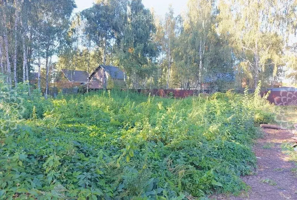 Участок в Московская область, Богородский городской округ, д. Белая ... - Фото 0