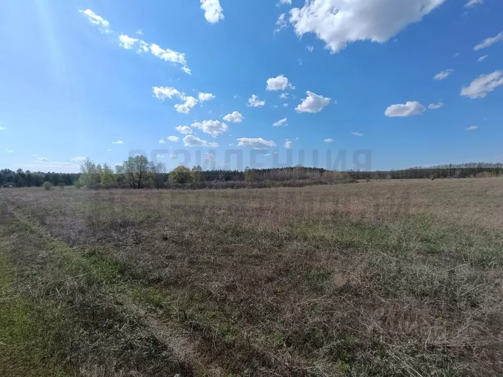 Участок в Самарская область, Красноярский район, Светлое Поле с/пос, ... - Фото 2