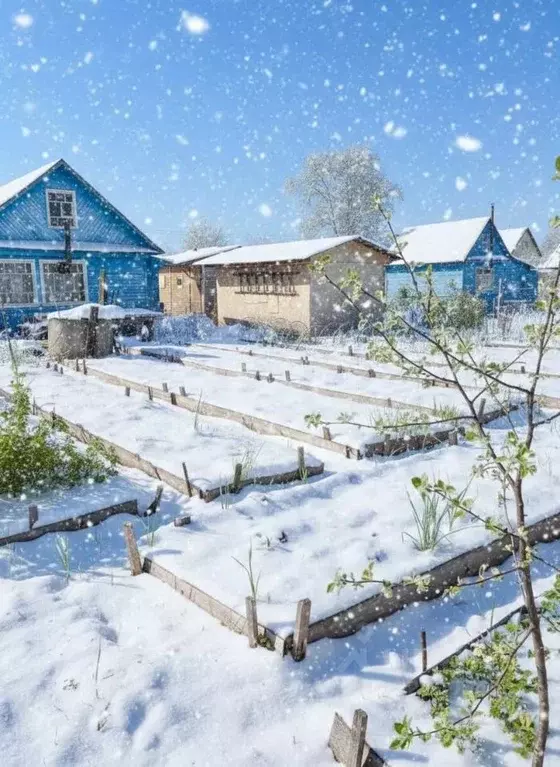 Участок в Вологодская область, Череповец № 1 ЧСПЗ СНТ, 174 (4.95 сот.) - Фото 1