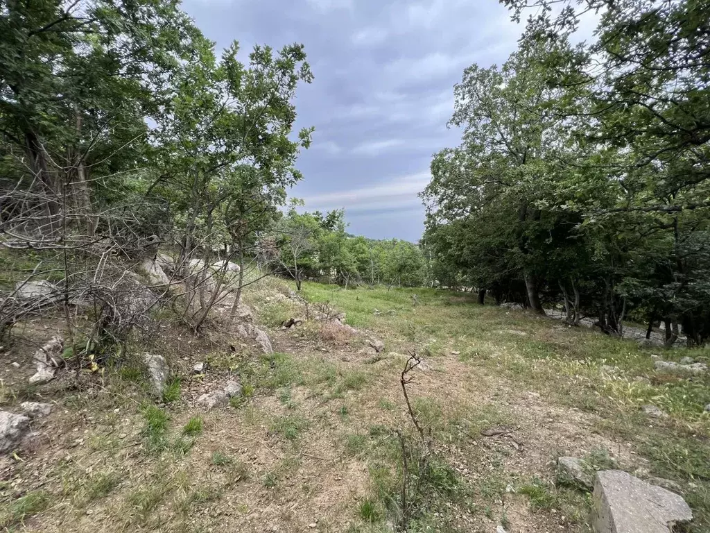 Участок в Крым, Ялта муниципальный округ, Гаспра пгт ул. Горького, 50 ... - Фото 2