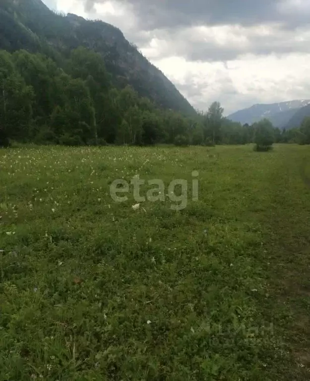 Участок в Алтай, Усть-Коксинский район, с. Катанда  (960.9 сот.) - Фото 0