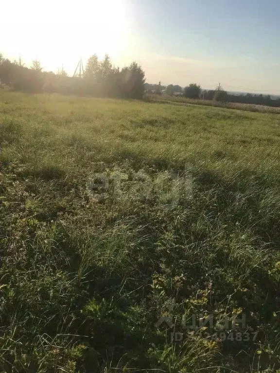Участок в Вологодская область, с. Сямжа ул. Радужная (12.0 сот.) - Фото 1