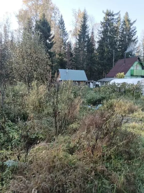 Участок в Пермский край, Пермский муниципальный округ, Сосенка СНТ  ... - Фото 2