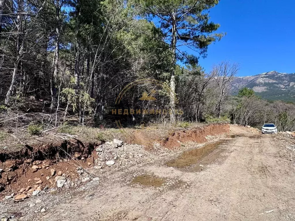 Участок в Крым, Ялта ул. Дарсановская, 81А (4.2 сот.) - Фото 2