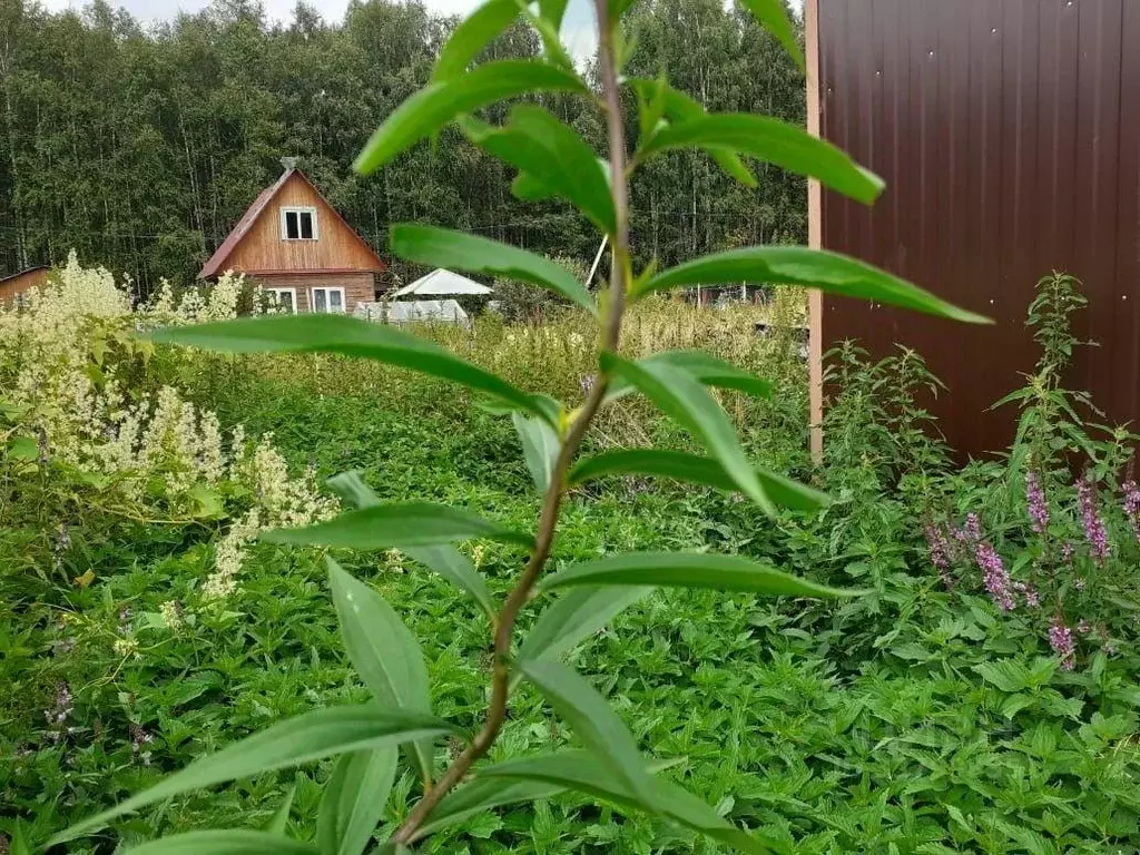 Участок, 6 сот., 0 - Фото 1