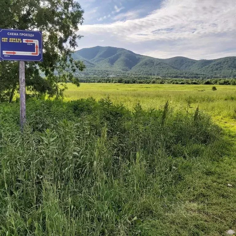 Участок в Камчатский край, Елизовский муниципальный округ, Янтарь СНТ  ... - Фото 1