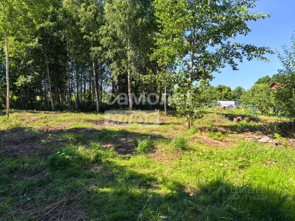 Участок в Москва д. Богородское,  (8.24 сот.) - Фото 1