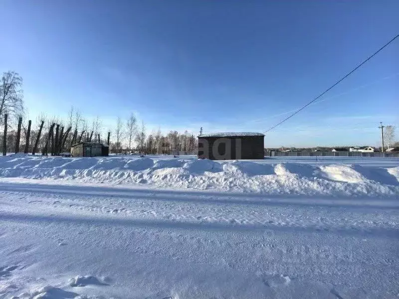 Участок в Новосибирская область, Новосибирский район, Сибирские ... - Фото 2