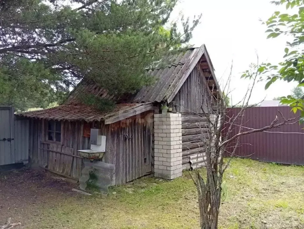Дом в Тверская область, Рамешковский муниципальный округ, с. Ведное ... - Фото 2
