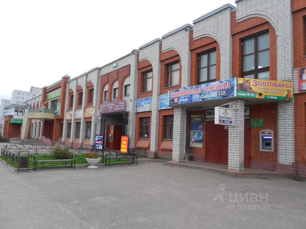 Торговая площадь в Владимирская область, Ковров ул. Грибоедова (28 м) - Фото 0