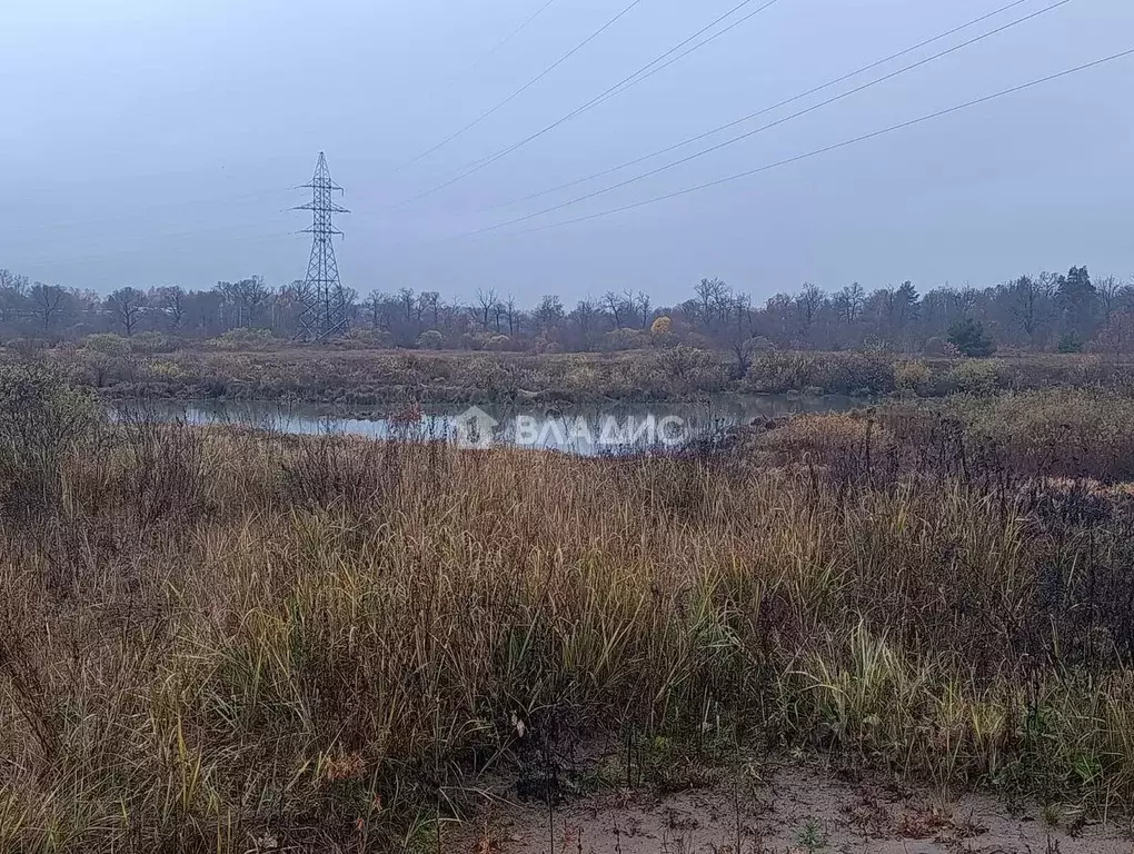 Участок в Владимирская область, Собинка Западная ул. (5.0 сот.) - Фото 1
